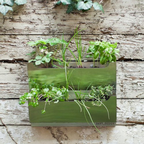Herbs