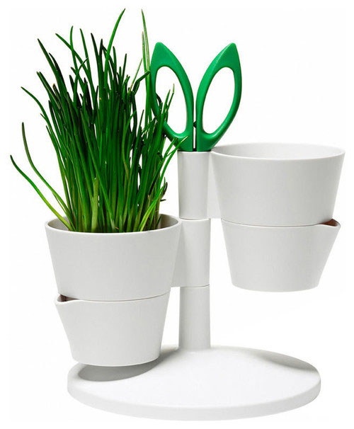 Herbs