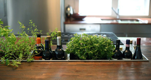 Herbs
