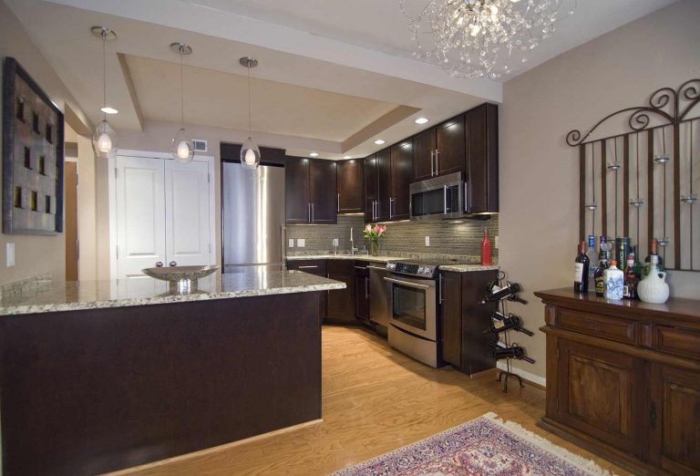 open concept kitchen modern design dark wood cabinetry stainless steel appliances tray ceiling with recessed lighting