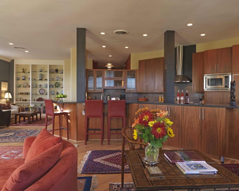 modern dc great room kitchen with dark cabinetry and stainless steel appliances open to living area