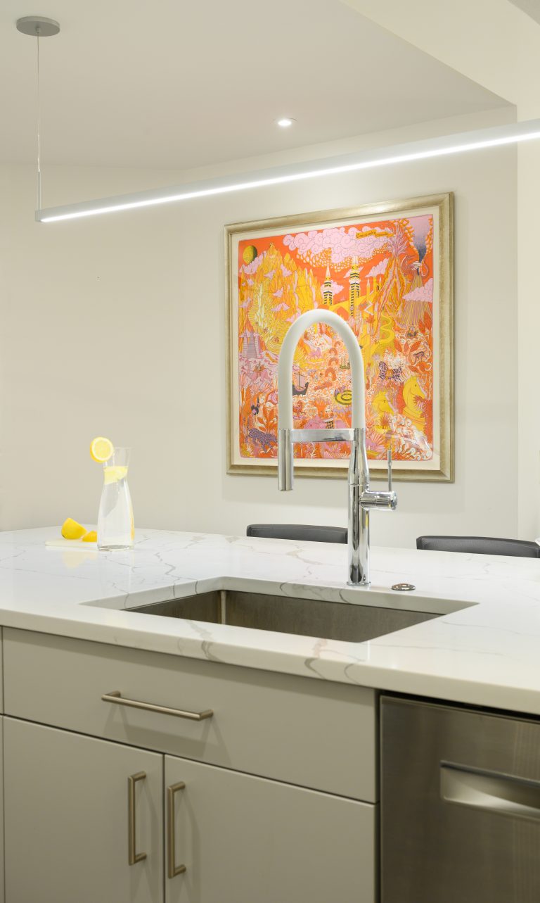 kitchen renovations in washington, dc has a drop-in stainless-steel single bowl kitchen island